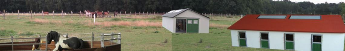 Ställe Boxen Aussenanlagen