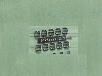 Schnallen oval 10 Stück 